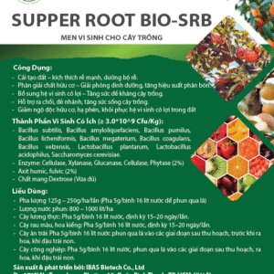 MEN VI SINH CHO CÂY TRỒNG- SUPPER ROOT BIO