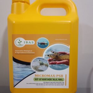 MEN VI SINH QUANG HỢP (PHOTOSYNTHETIC BACTERIA PSB)
