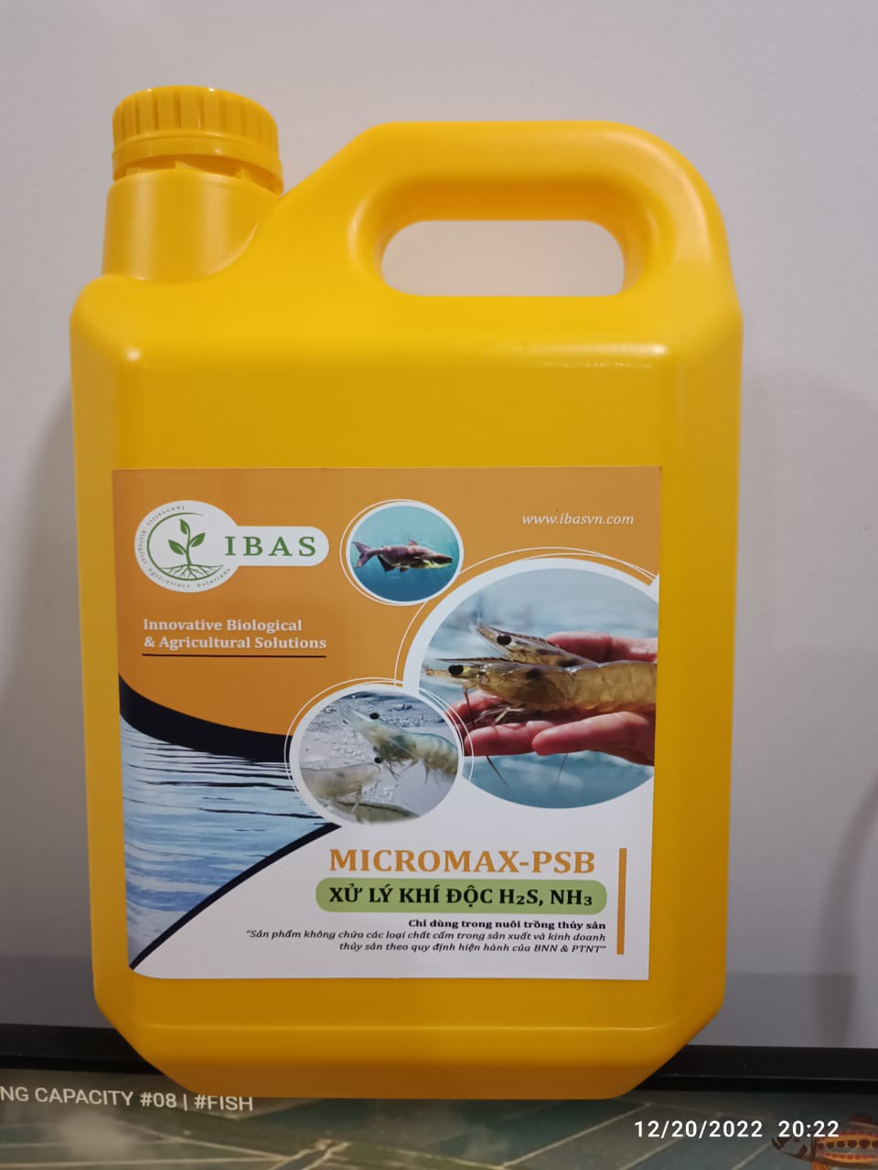 MEN VI SINH QUANG HỢP (PHOTOSYNTHETIC BACTERIA PSB)
